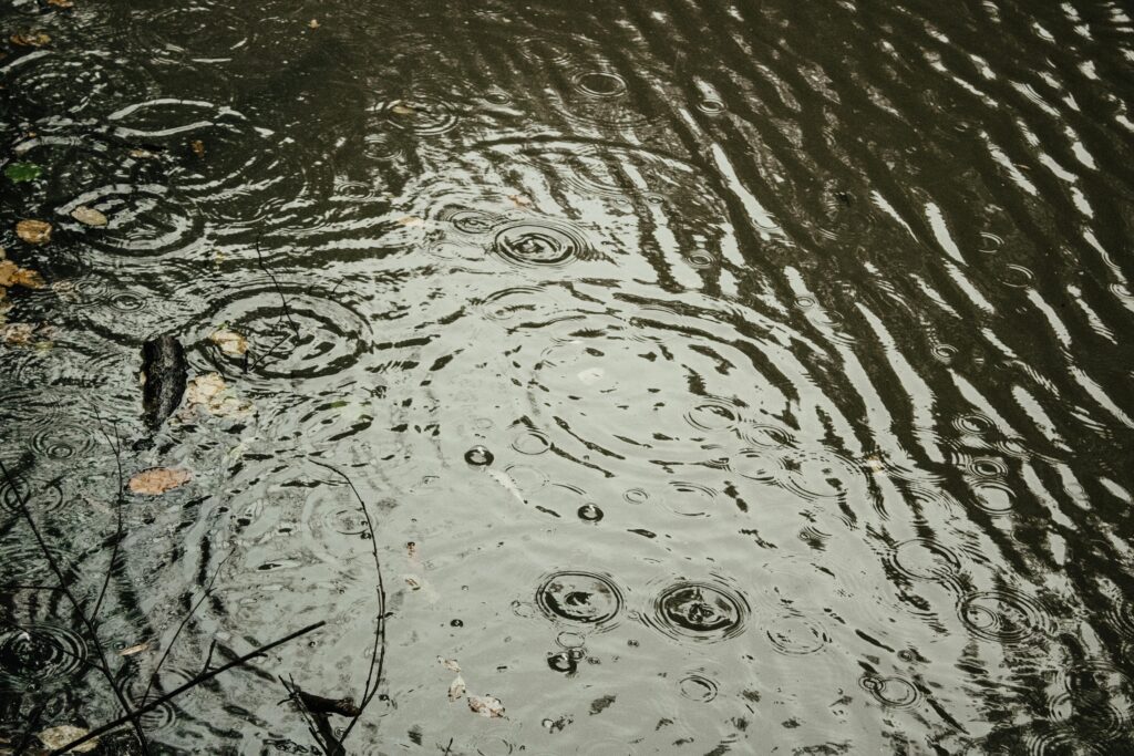 raindrops