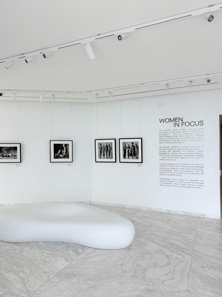 women in focus exhibition